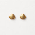 Orecchini in acciaio inox a conchiglia