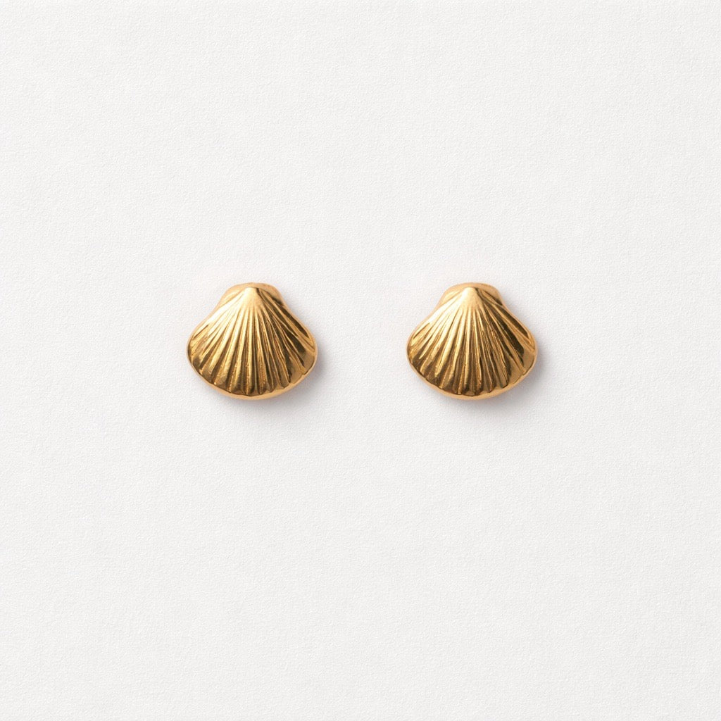Orecchini in acciaio inox a conchiglia
