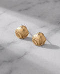 Orecchini Shell