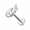 Helix acciaio inox fogliolina