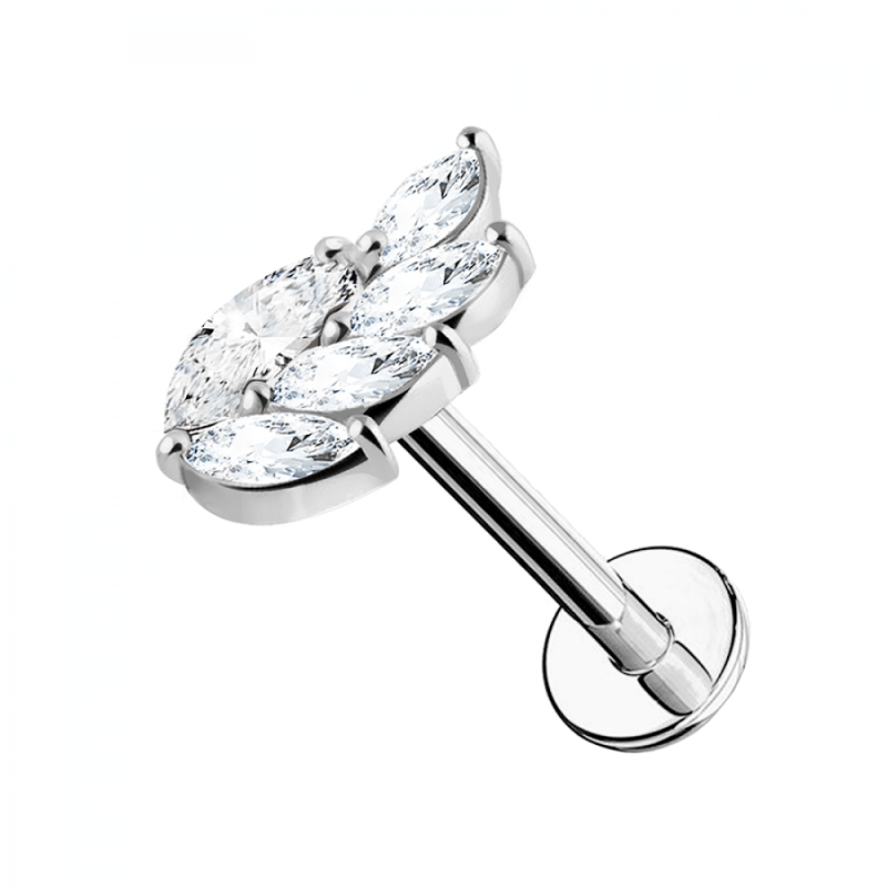 Helix acciaio inox fogliolina